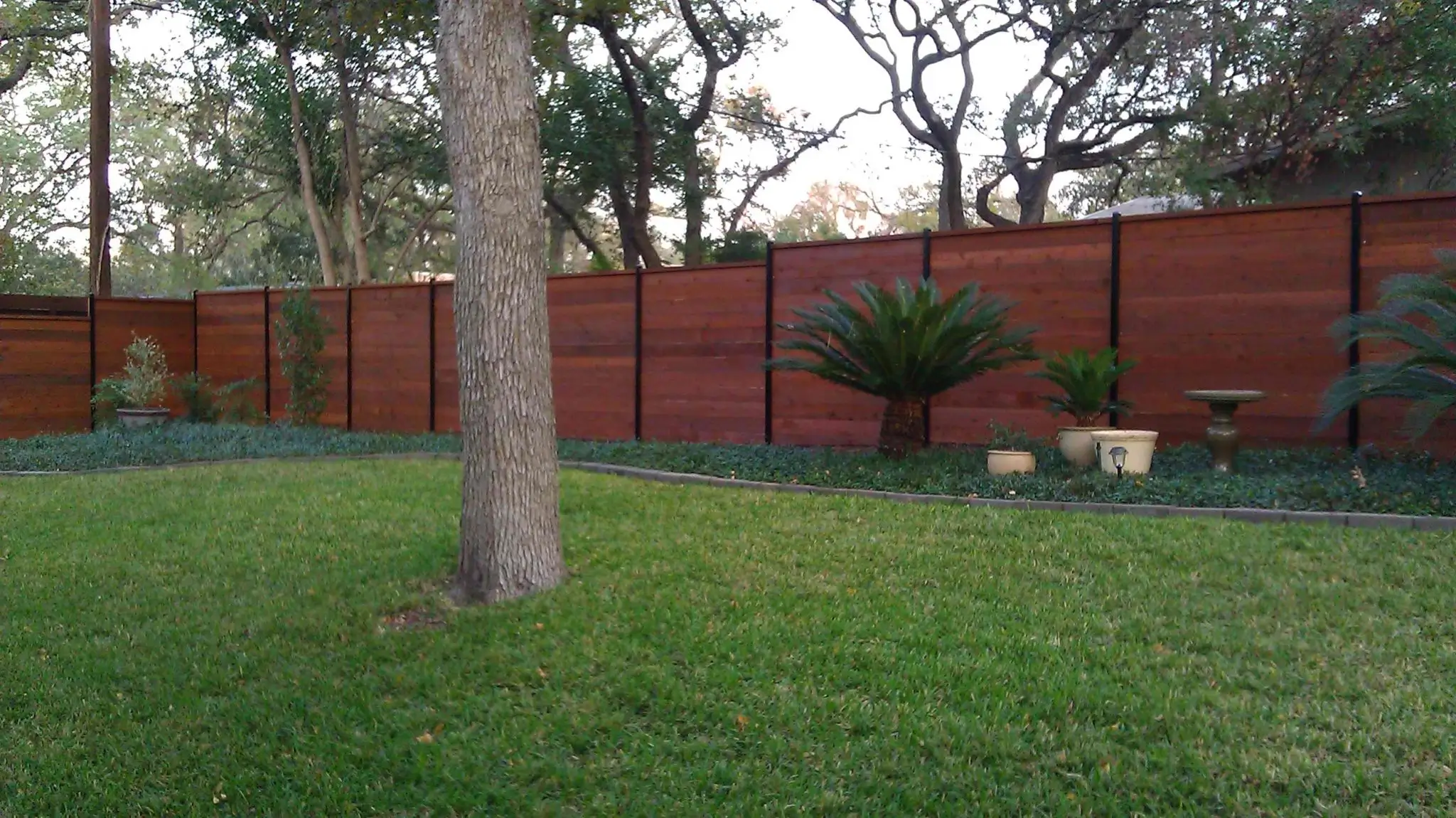 Cedar wood privacy fence built by B.C. Fence in Austin, TX