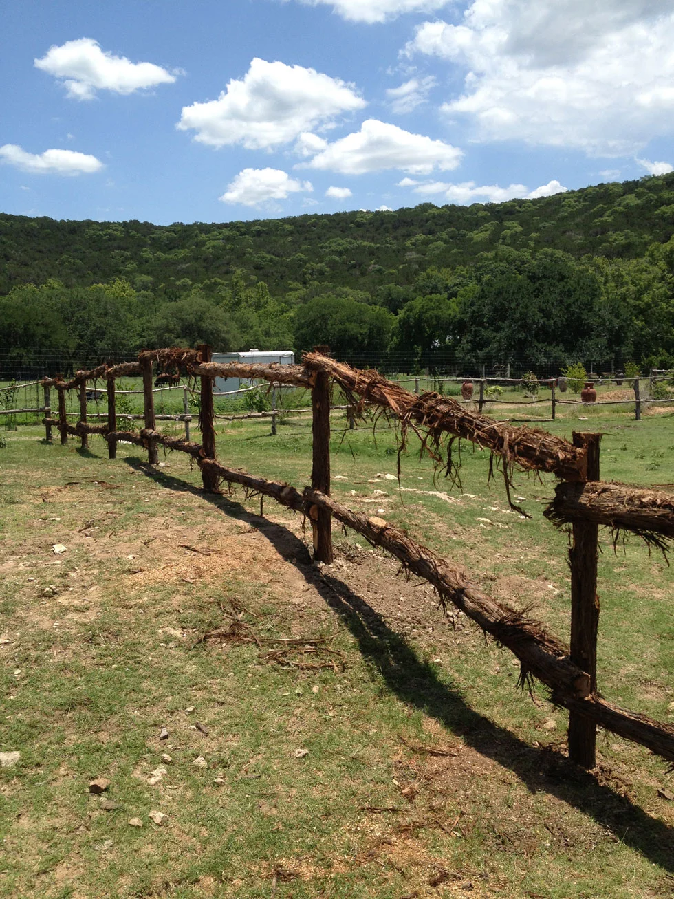 Back yard privacy fence installed by the B.C. Fence crew in Central Texas